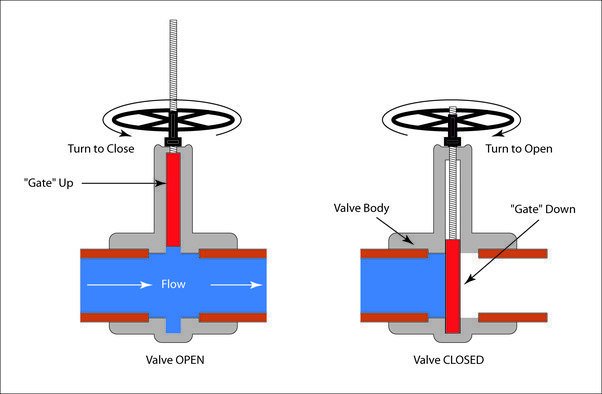 What are different types of valve?