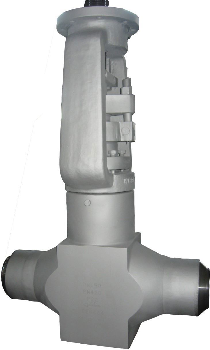 FCT Pressure Seal Globe Valve