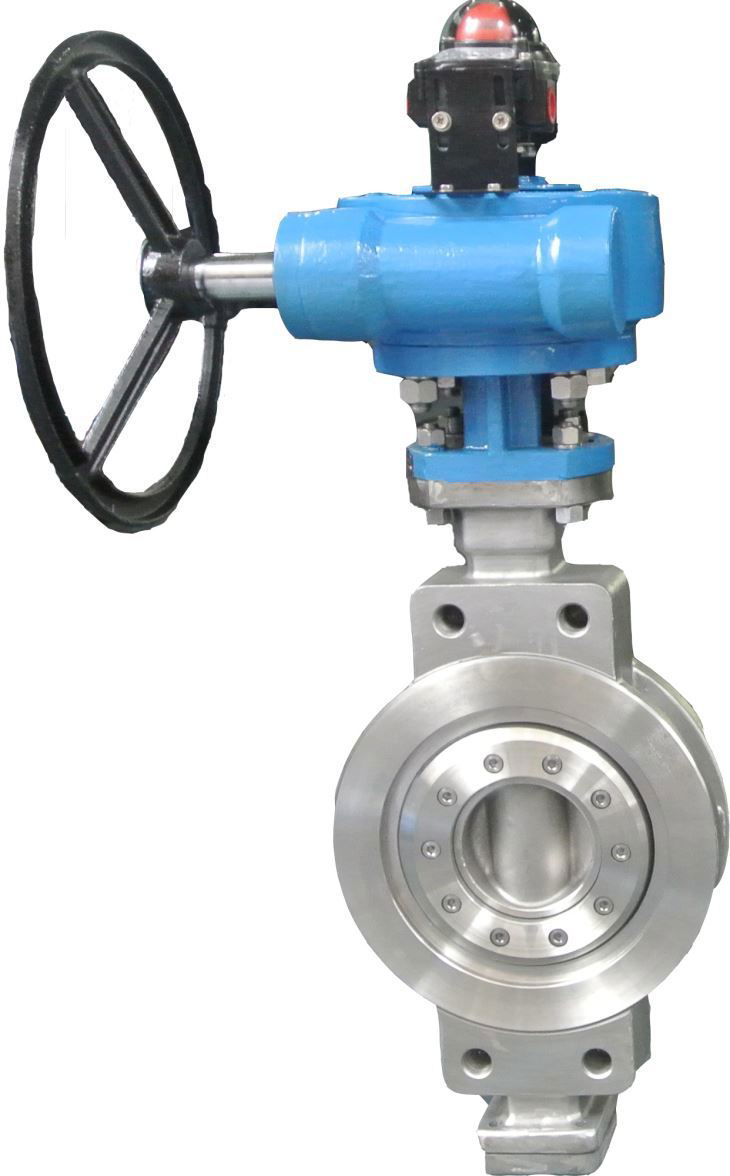 FCT Double Offset Butterfly Valve