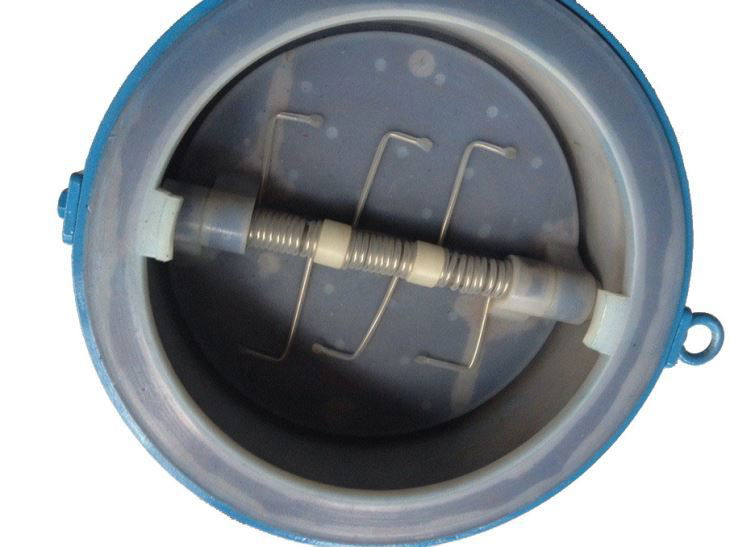 FCT PTFE  Wafer Check Valve