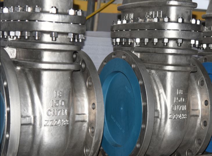 FCT CN7M GATE VALVE