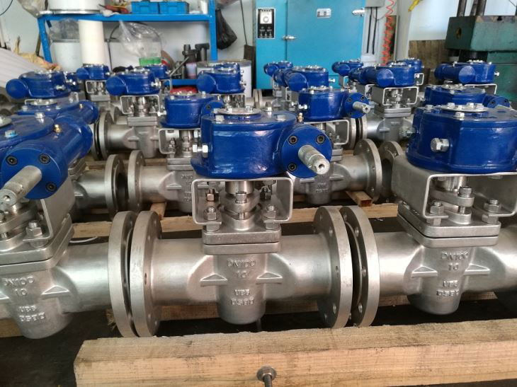 FCT UB6 PLUG VALVE