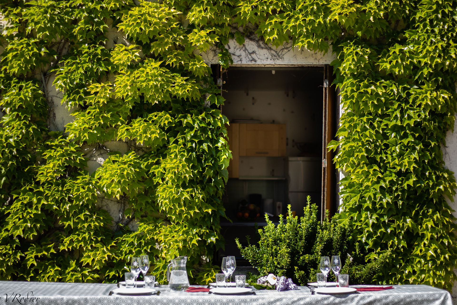 Gîte l'Orée des vignes - Marne