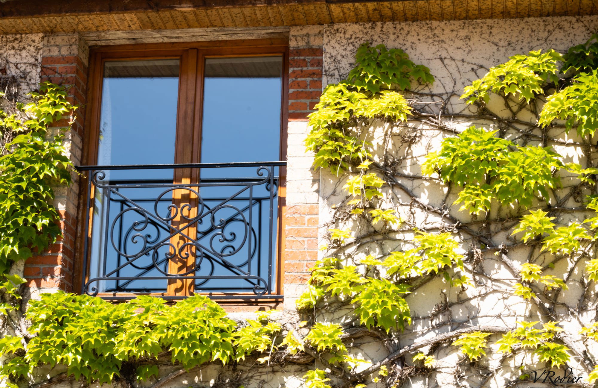 Gîte l'Orée des vignes - Marne