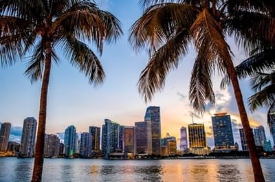 About Miami Escorts image