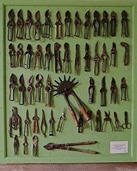 History of Pruning Shears
