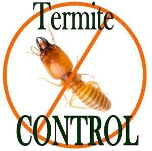 Termite pest control services