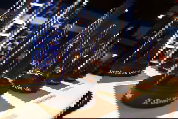 St David Award Nomination