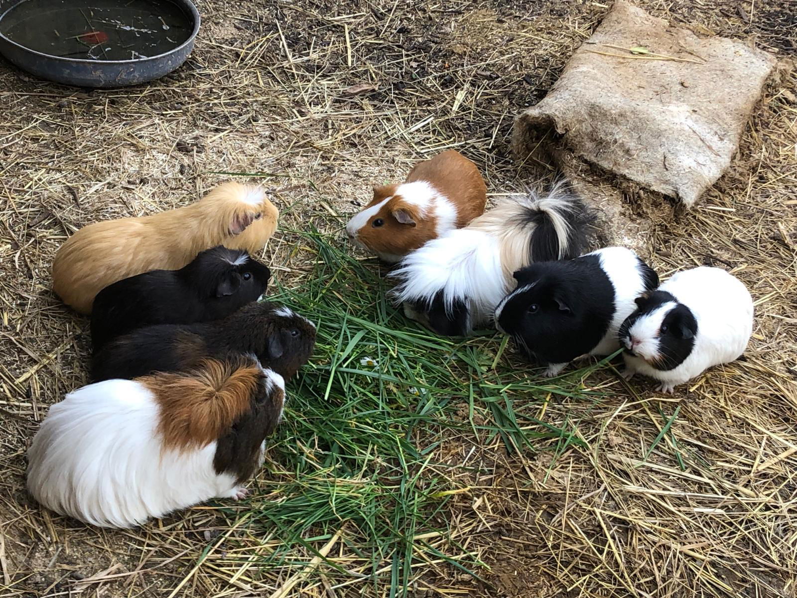 Et trois petits nouveaux, pour la relève... ou pas!