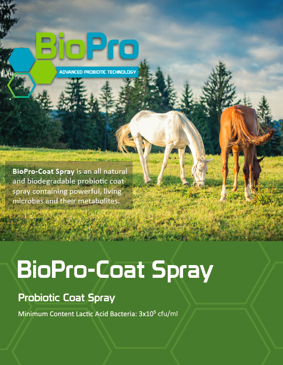 BioPro Coat Spray Horses Radicle Group