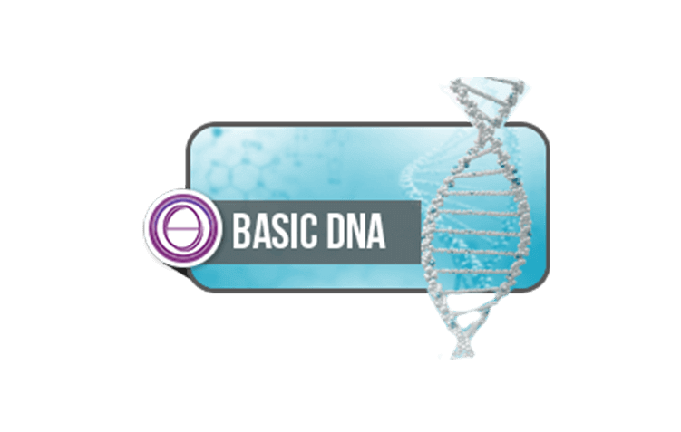DNA Básico Presencial e Online