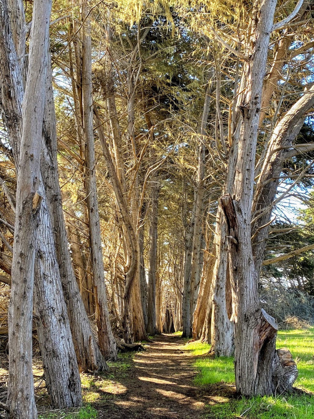 San Simeon Point Trail