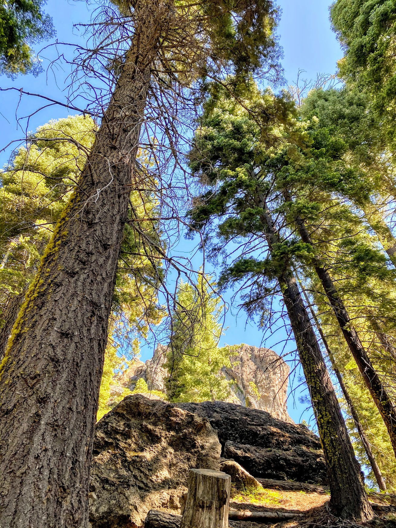 Eagle Rock in the distance