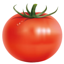 Tomato Production Company 小紅茄製作公司