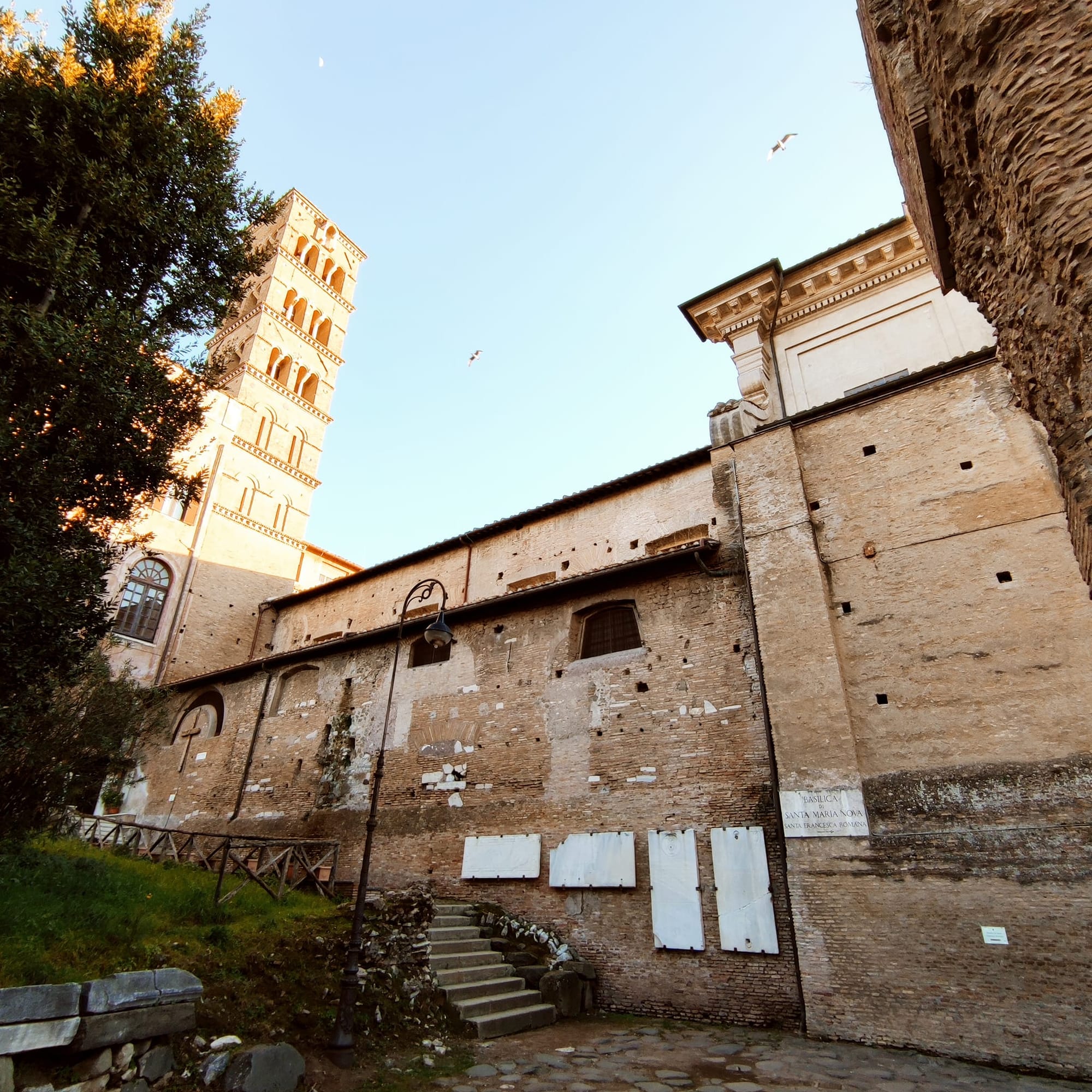 Santa Francesca Romana.