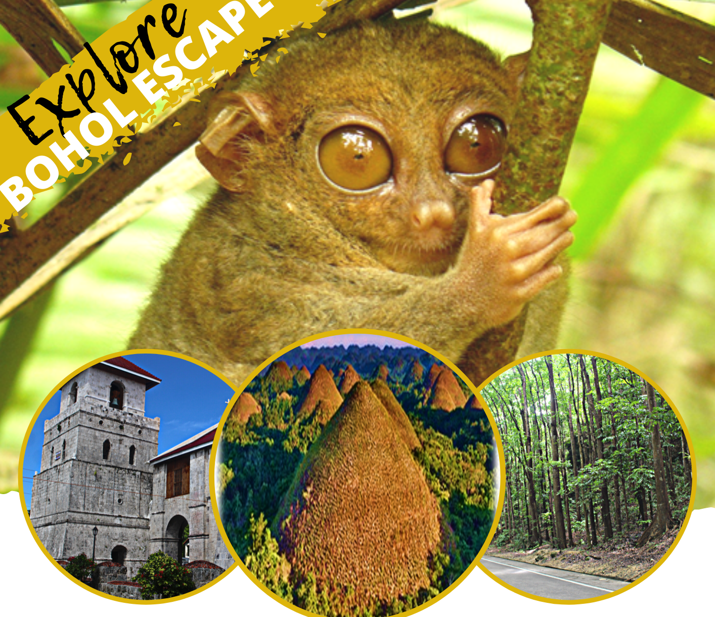 BOHOL BEST TOURS- 1.Countryside tour