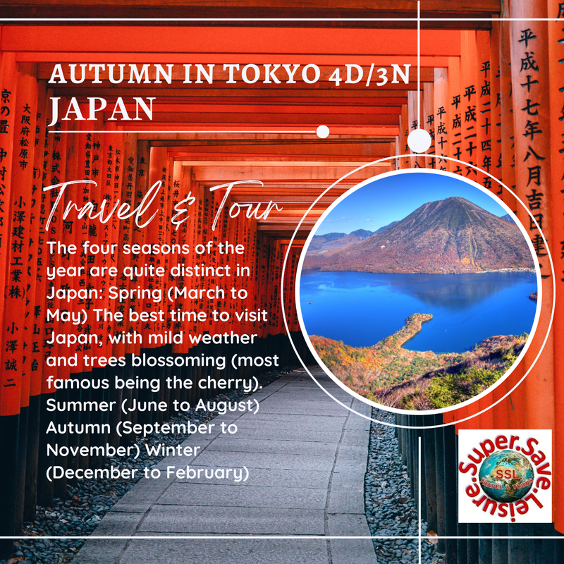 AUTUMN IN TOKYO 4D/3N