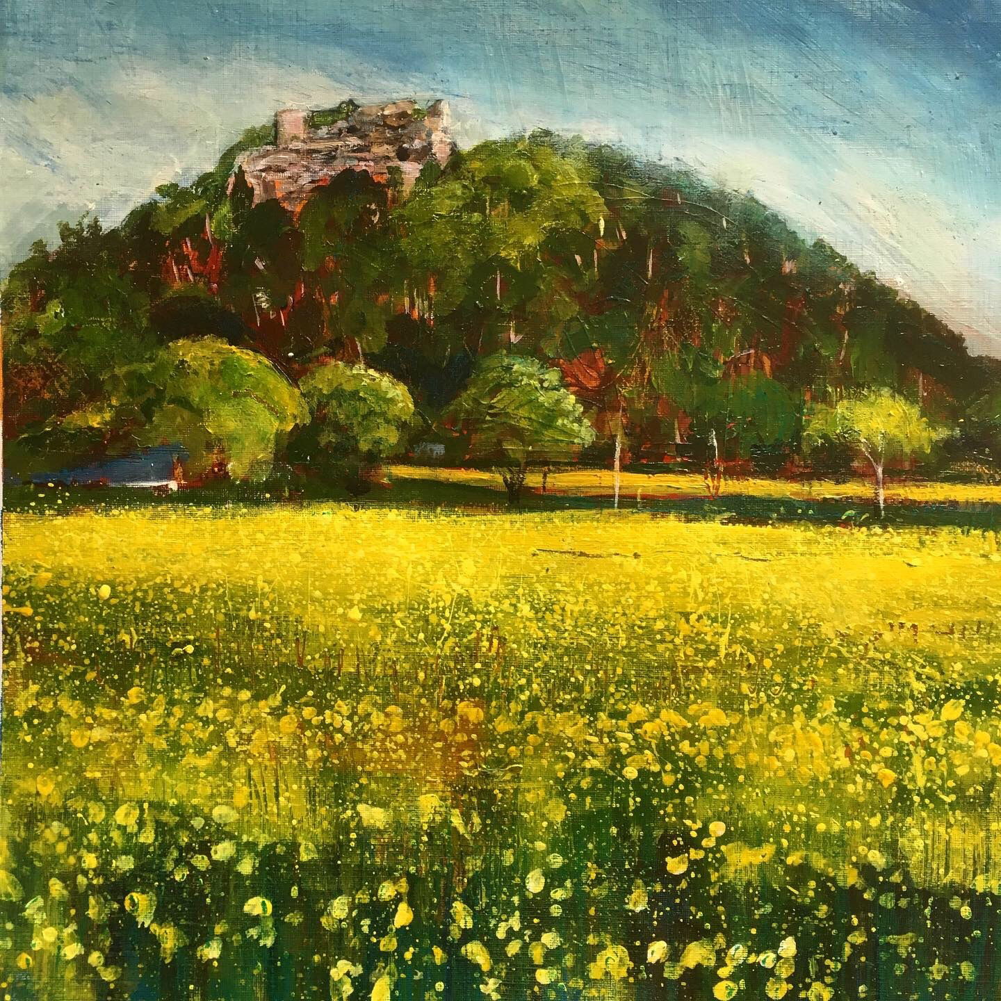 Beeston Castle, Field of Rapeseed