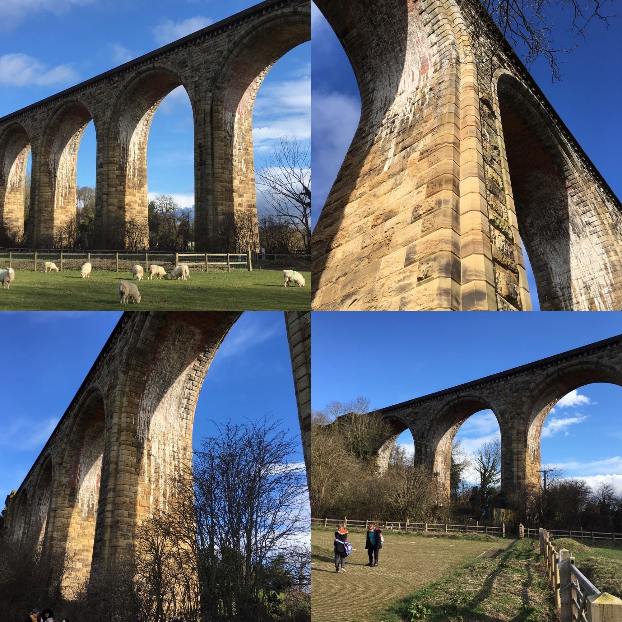 Year 5 photos using ipads - Acrefair Viaduct project