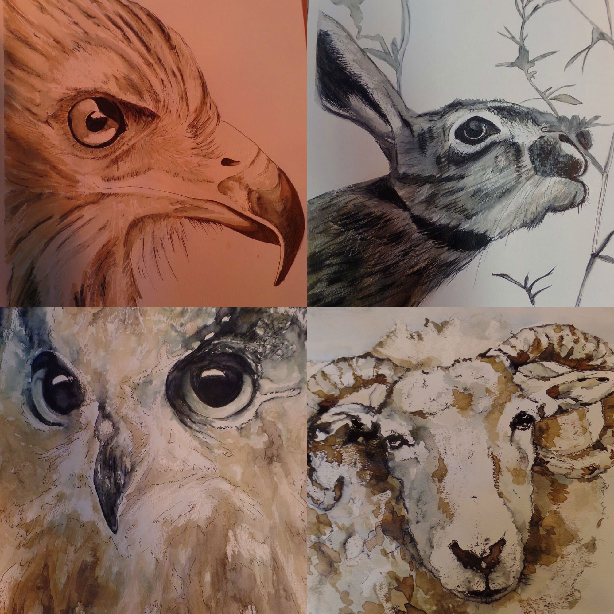 Adult workshop - mixed media animal portrait