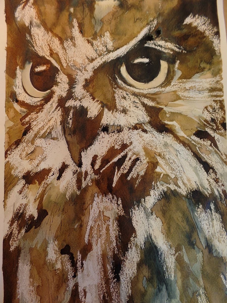 Eagle owl - adult workshop
