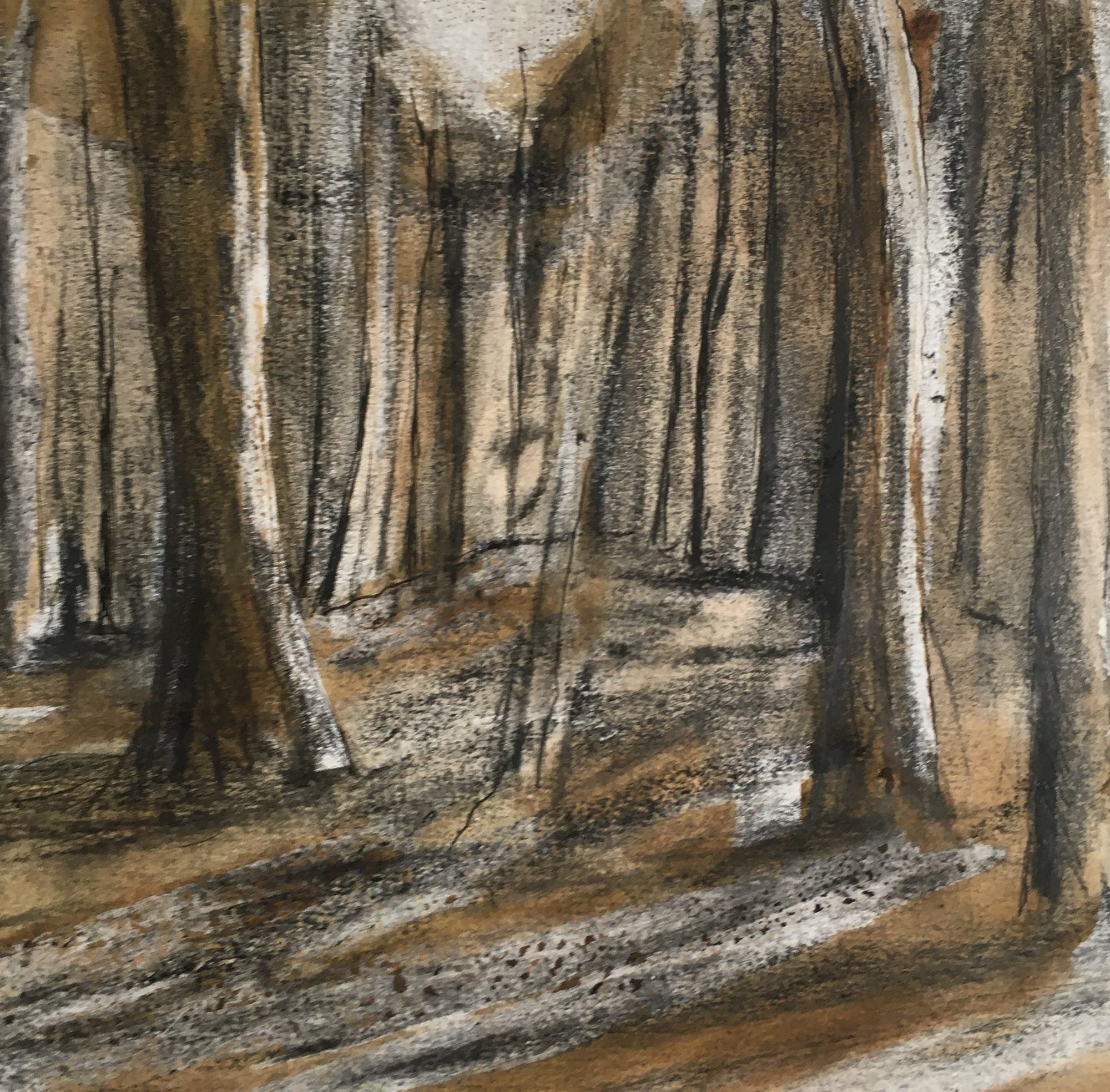 Delamere Forest charcoal sketch