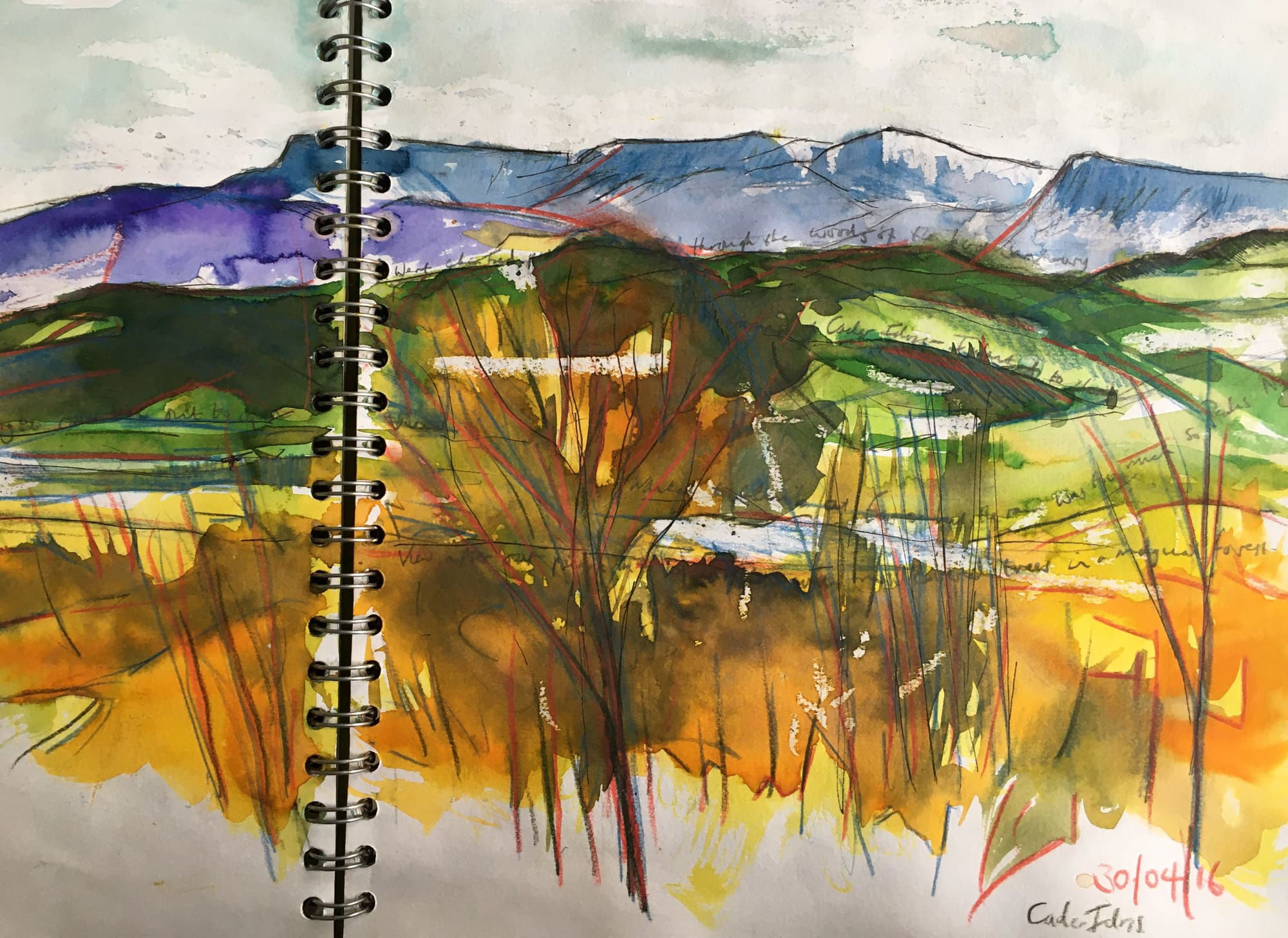 Sketch below Cader Idris