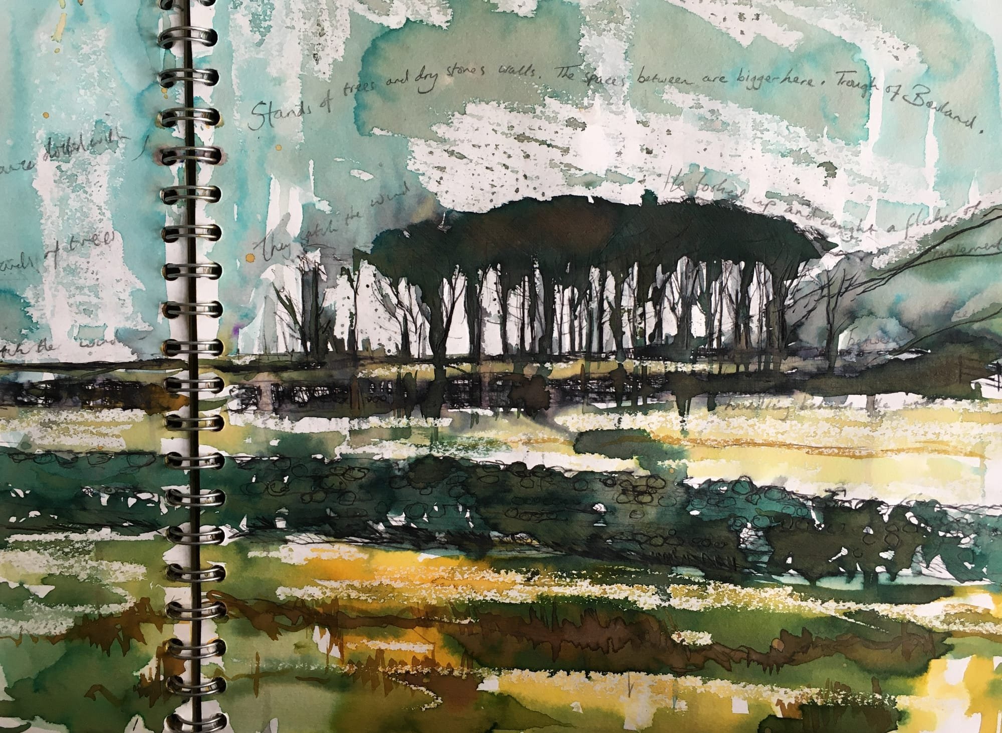 Forest of Bowland Sketch