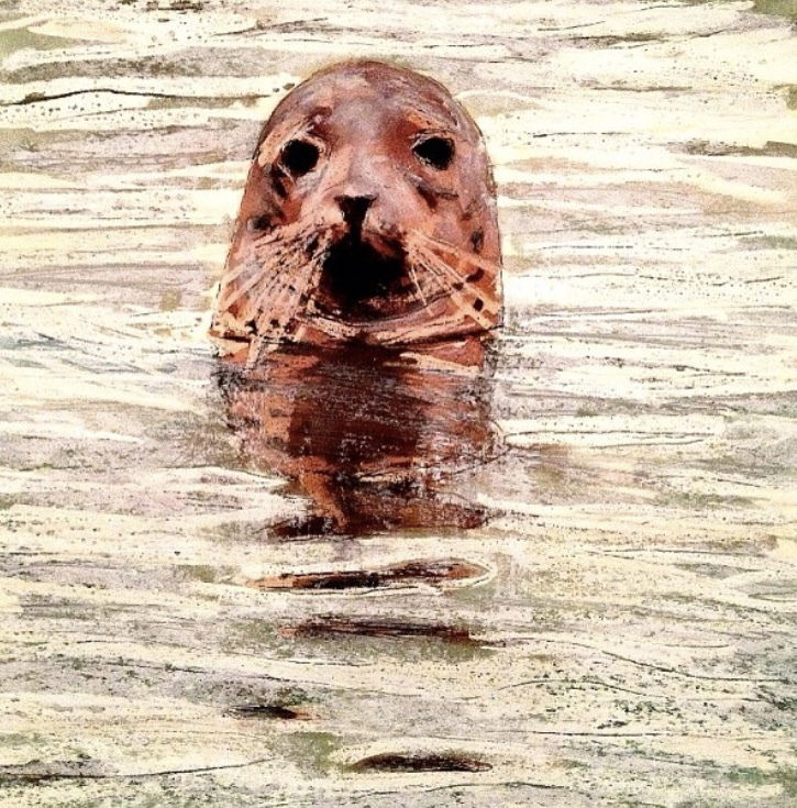 Seal  - Iona