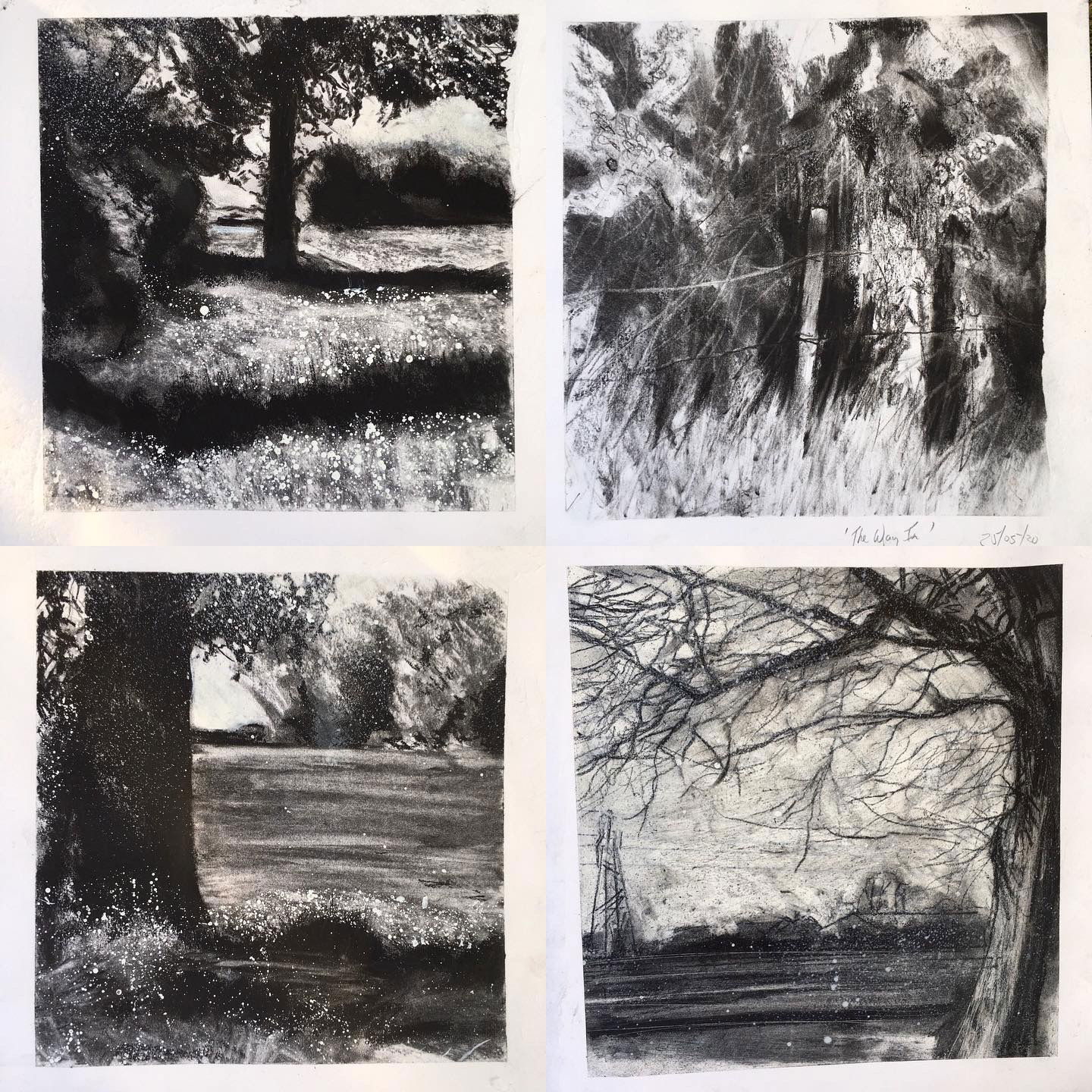 4 Charcoal sketches, near wildwood
