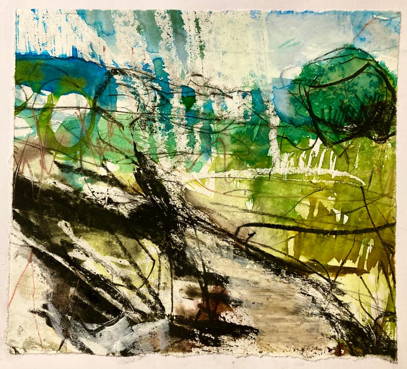 Collaged drawings from the fields around Tattenhall in Cheshire July 22