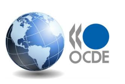 ¡Argentina en la OCDE! Se abre la cancha para las empresas nacionales ⚽️