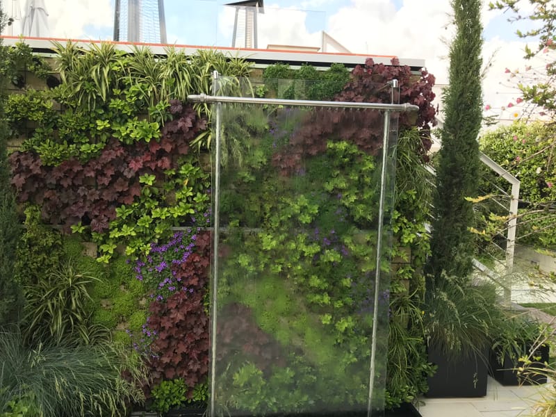 MANTENIMIENTO DE JARDINES VERTICALES