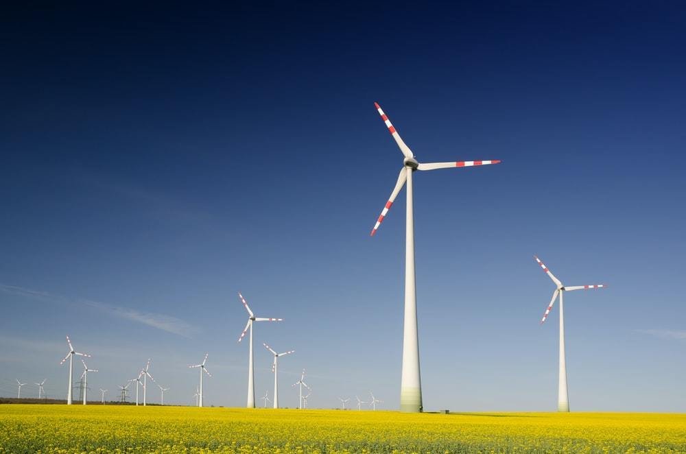 Renewable wind energy? I'm a big fan.