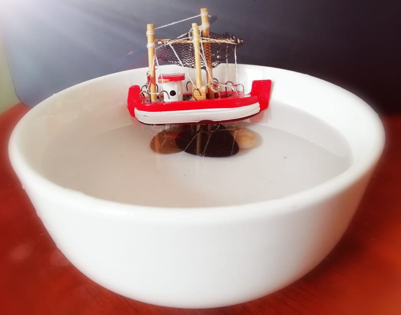 Build your own steamboat Scientist Next Door