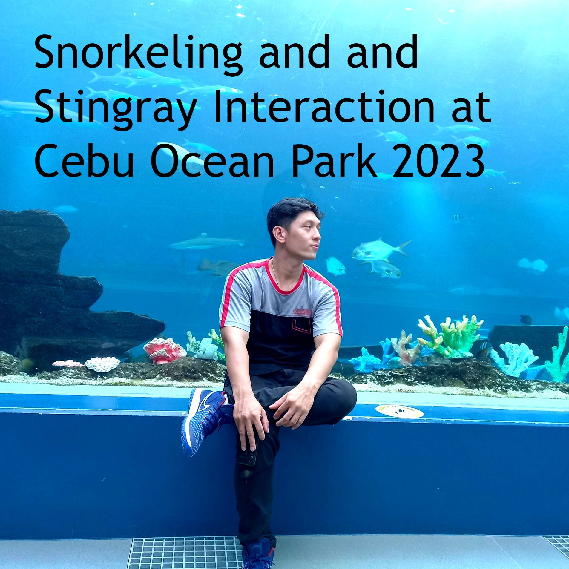 Stingray Lagoon Interaction and Aquarium Snorkel Adventure at Cebu Ocean Park