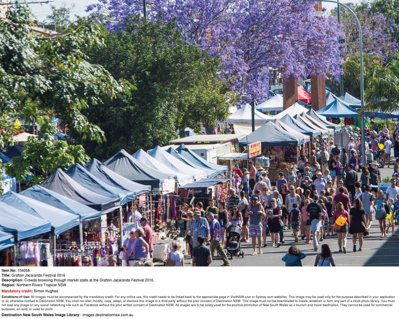 NSW North Coast & the Jacaranda Festival