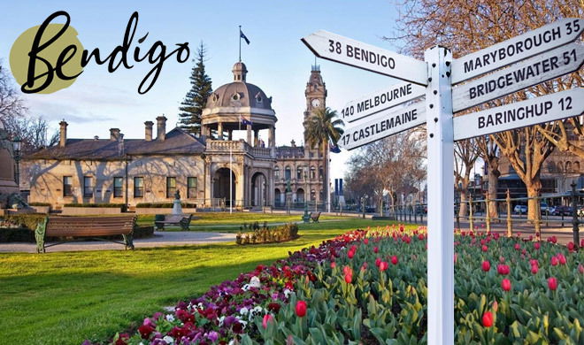 Bendigo & Surrounds - Coach