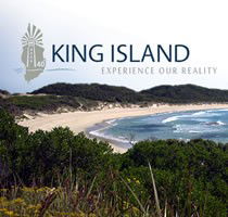 KING ISLAND- Fly / Fly - STAY PUT TOUR