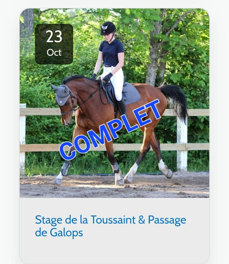 Stage de la Toussaint - COMPLET 1ère semaine