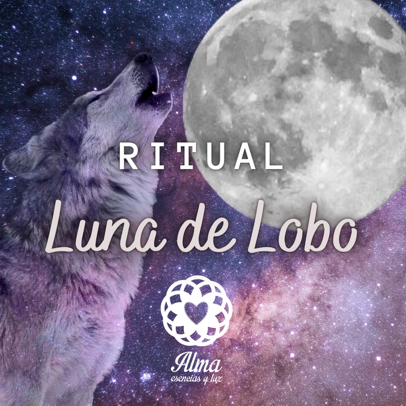 Ritual de la Luna llena de Lobo