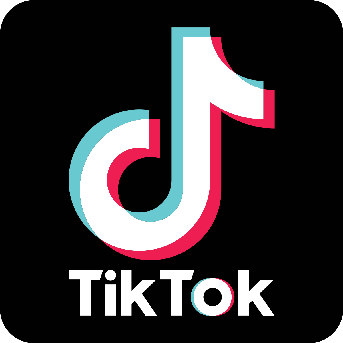 10 каналов в TikTok, которые помогут освоить школьную программу весело и с огоньком