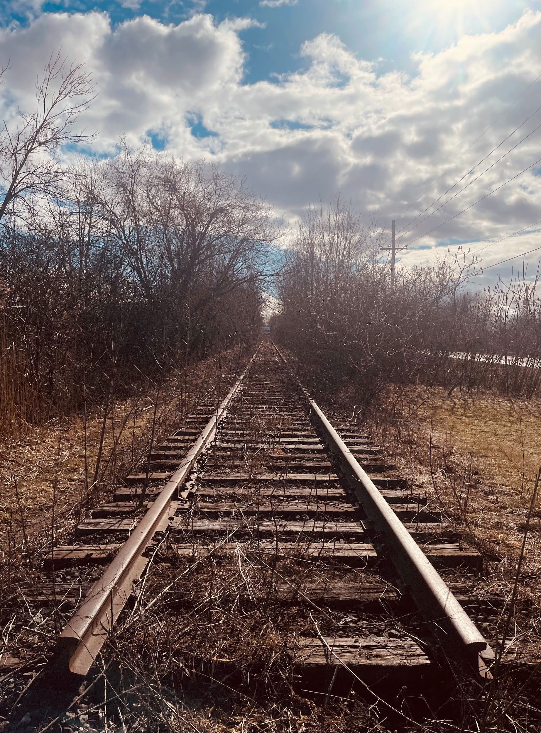 Un chemin vers nulle part par Juliette Boucher St-Cyr