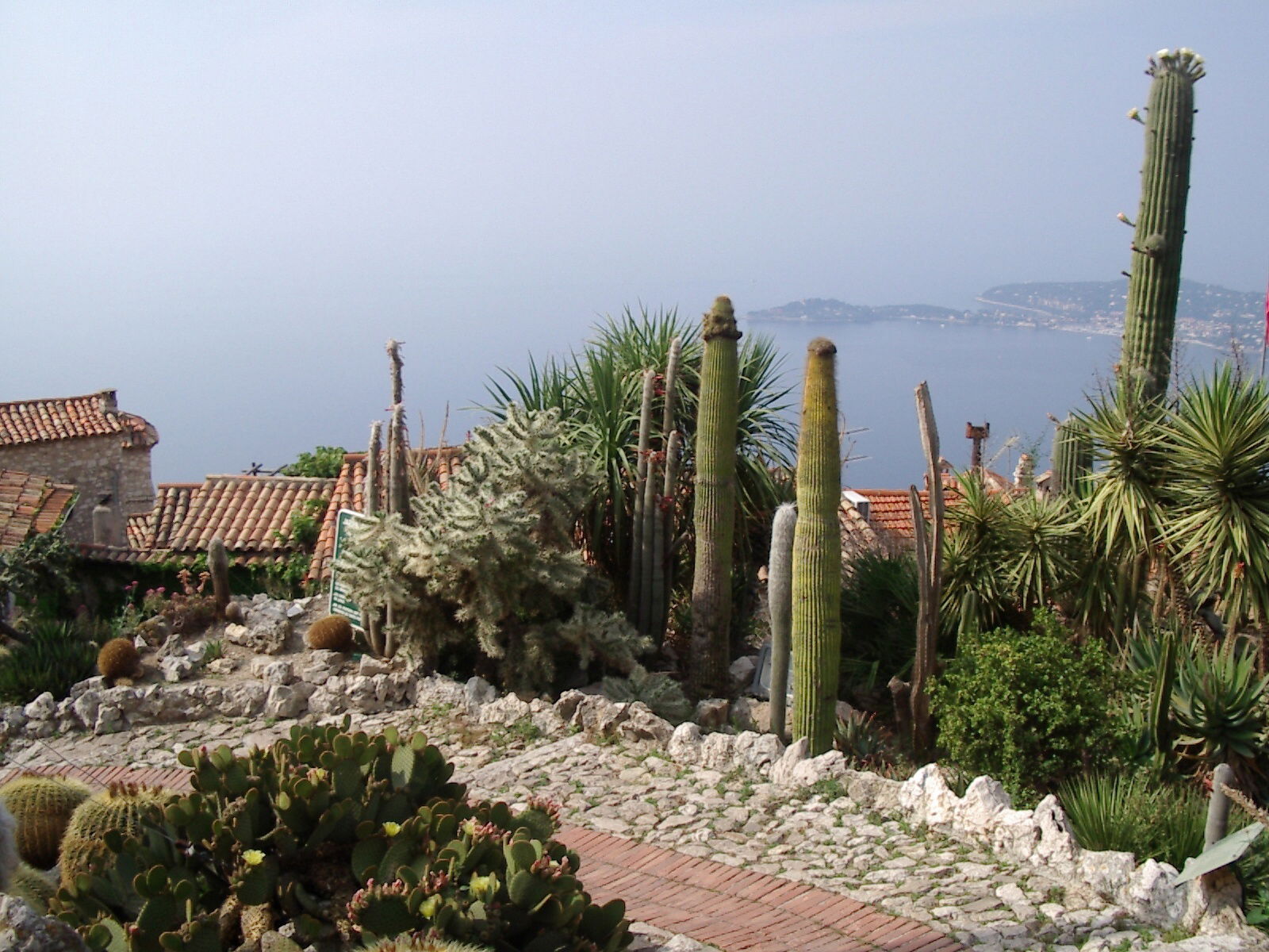 Eze - Côte D'azur