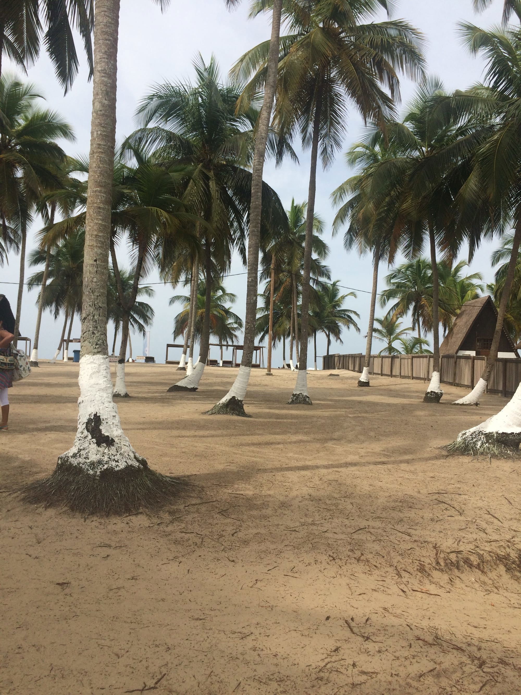 Côte d'ivoire - Assinie - Lodge  - coté océan