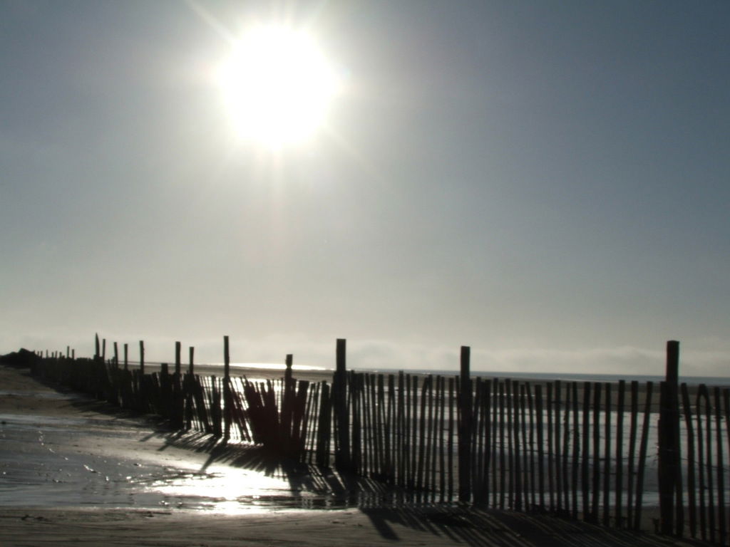 De Panne - Belgique