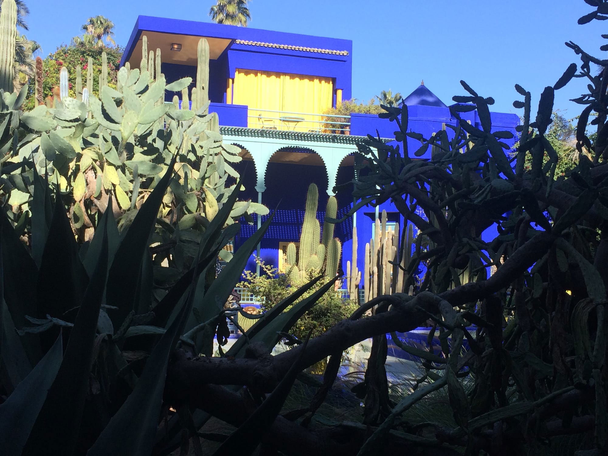 Marrakech - jardin majorelle