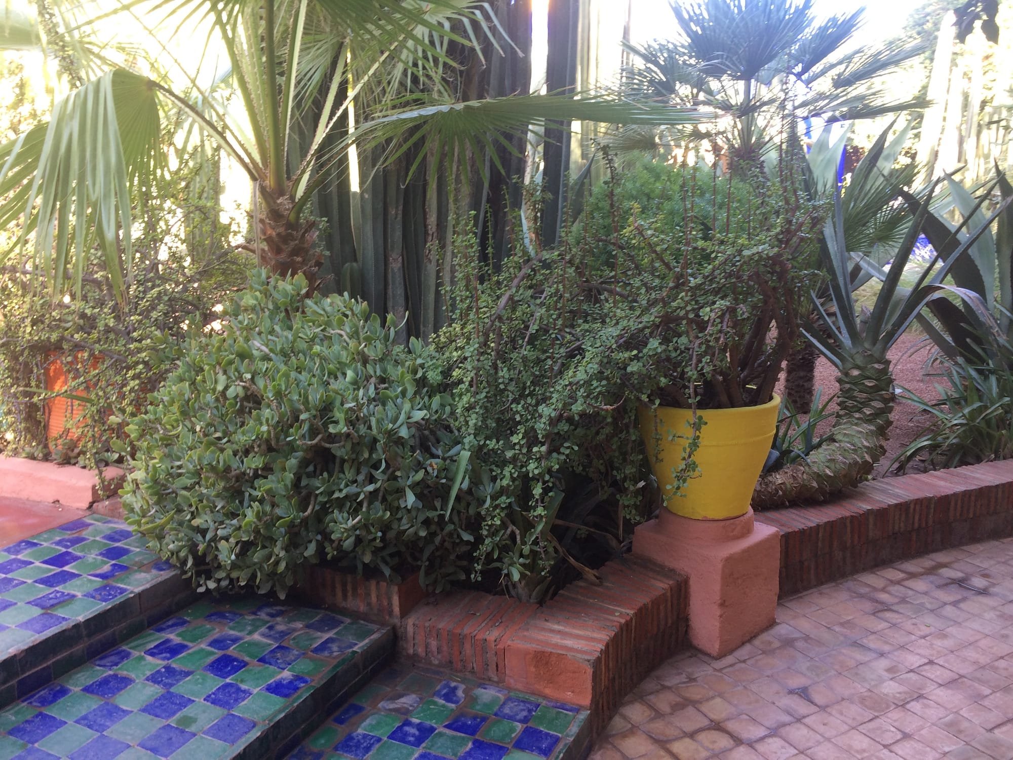 Marrakech - jardin majorelle