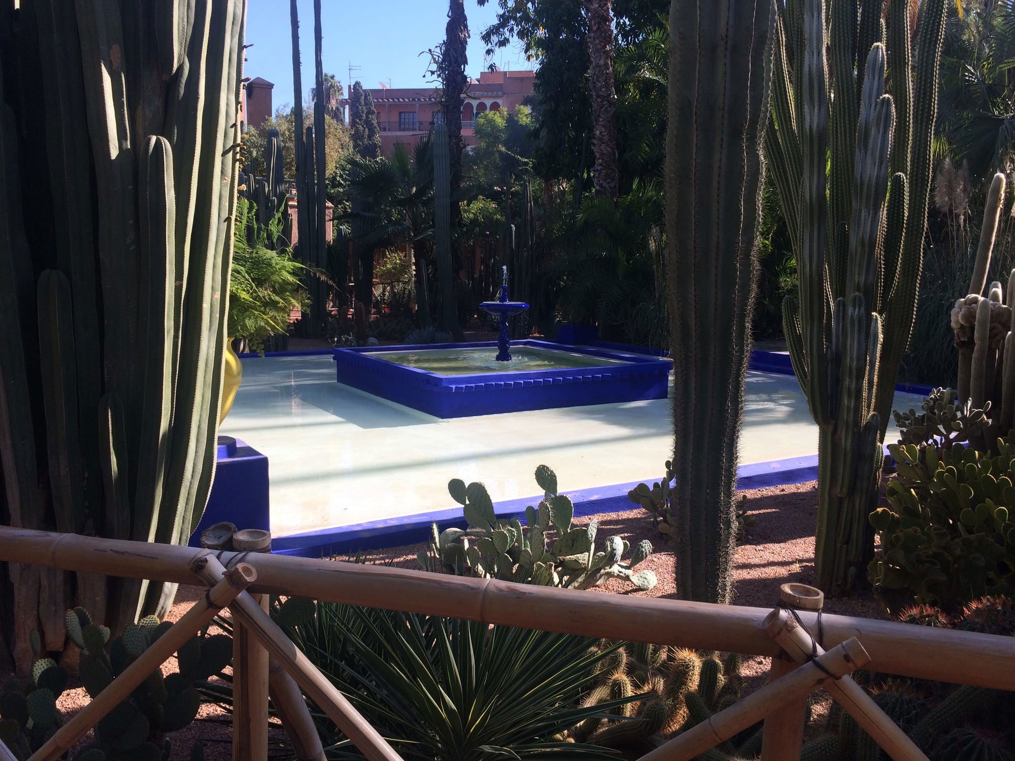 Marrakech - jardin majorelle