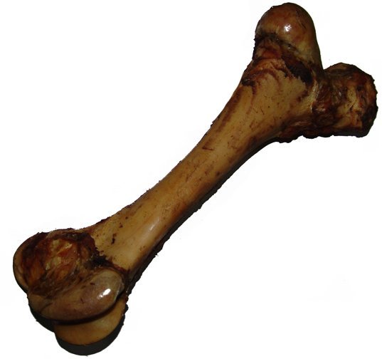 Os à moelle fémur de boeuf géant pour chien